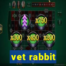 vet rabbit